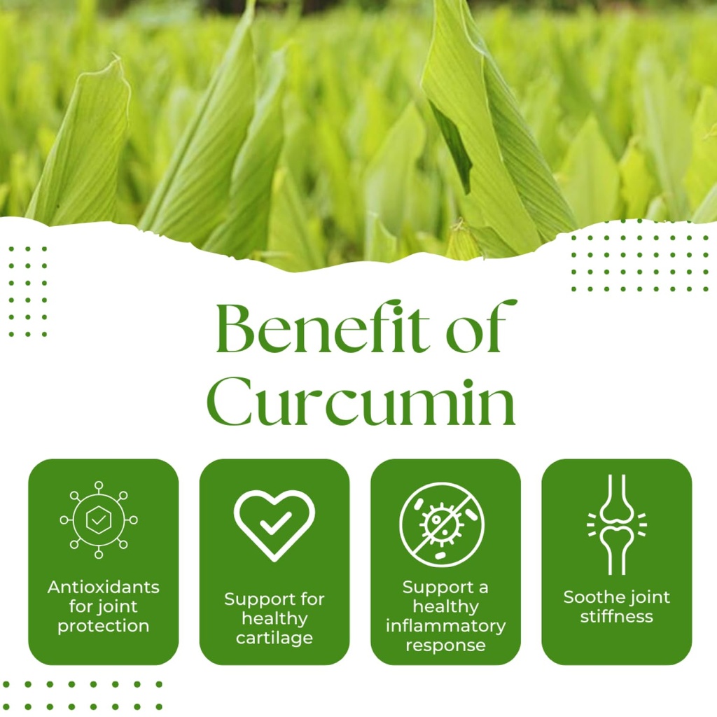 turmeric-curcumin-750mg-natural-support--6.jpg