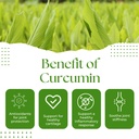 turmeric-curcumin-750mg-natural-support--6.jpg