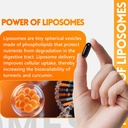 ingreens-turmeric-curcumin-supplement-22-4.jpg