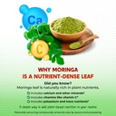 moringa-turmeric-ginger-root-ceylon-cinn-2.jpg