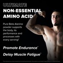 finaflex-beta-alanine-unflavored-10-9-oz-3.jpg