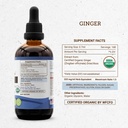 secrets-of-the-tribe-ginger-usda-organic-4.jpg