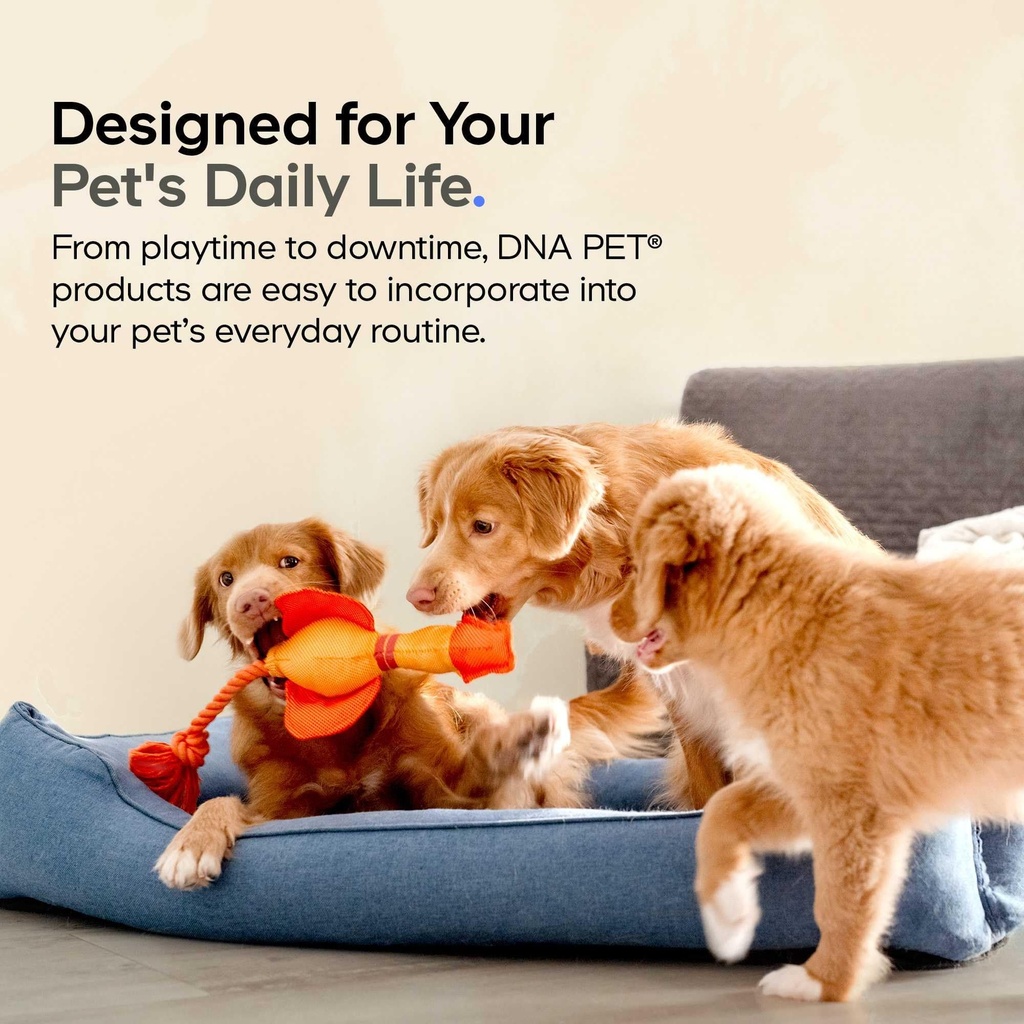 dna-pet-algal-oil-complex-for-dogs-omega-5.jpg