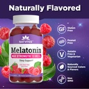 melatonin-gummies-max-strength-10mg-pect-4.jpg