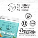 vegan-collagen-building-powder-protein-p-3.jpg