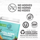 vegan-collagen-protein-powder-for-women--3.jpg