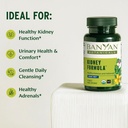 banyan-botanicals-organic-kidney-formula-2.jpg