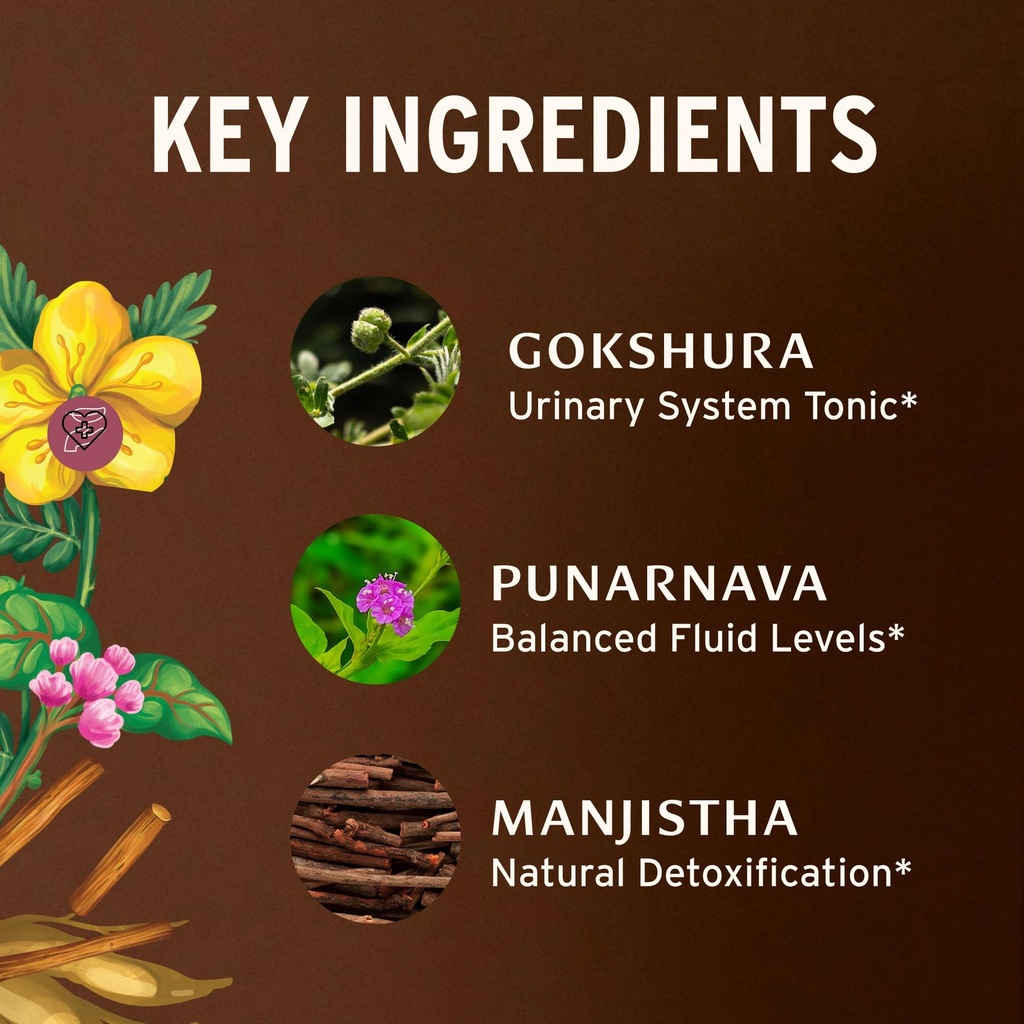 banyan-botanicals-organic-kidney-formula-3.jpg