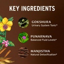 banyan-botanicals-organic-kidney-formula-3.jpg
