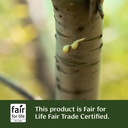 banyan-botanicals-organic-triphala-guggu-5.jpg