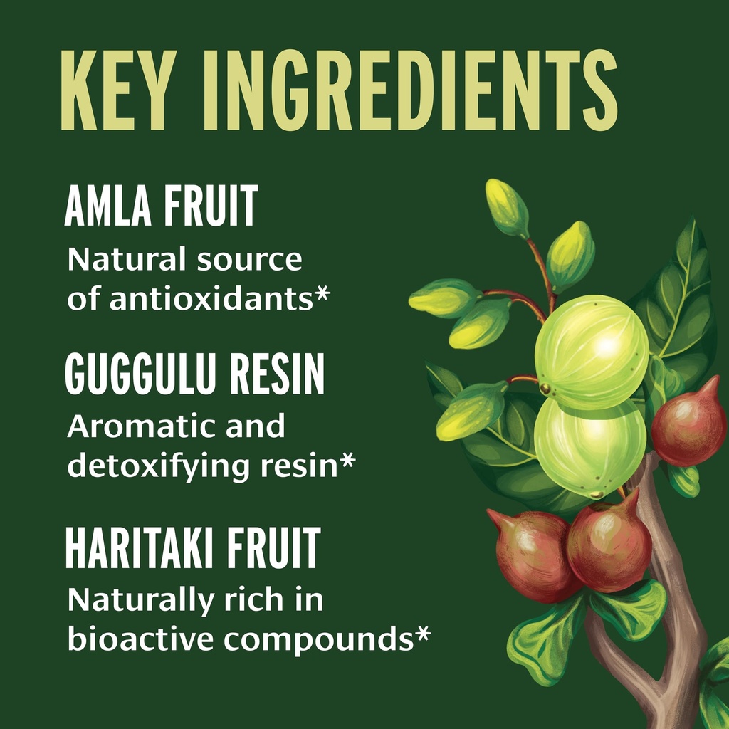 banyan-botanicals-organic-triphala-guggu-3.jpg