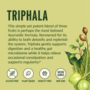 banyan-botanicals-organic-triphala-powde-3.jpg