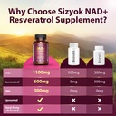 nad-supplement-1100mg-resveratrol-600mg--5.jpg