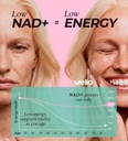 liposomal-nad-supplement-601mg-third-par-2.jpg