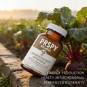 wellness-fermented-beet-maca-healthy-ene-2.jpg