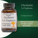barlowe-s-herbal-elixirs-oxystorm-n-o-ex-4.jpg