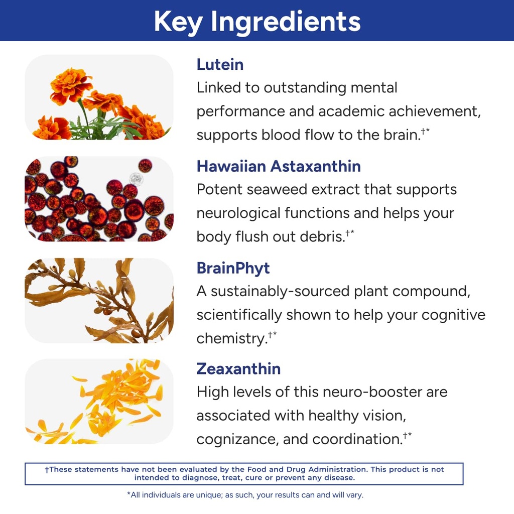 gundry-md-power-phenols-brain-health-sup-4.jpg