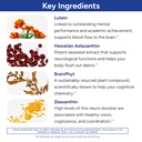 gundry-md-power-phenols-brain-health-sup-4.jpg