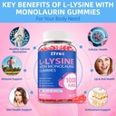 l-lysine-gummies-1000mg-sugar-free-chewa-3.jpg