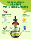 l-lysine-1000mg-supplement-liposomal-lys-3.jpg