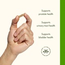 swanson-pygeum-herbal-supplement-for-men-4.jpg