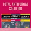 lotrimin-af-ringworm-cream-clotrimazole--6.jpg