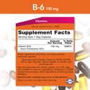 now-vitamin-b-6-100mg-250-capsules-pack--2.jpg