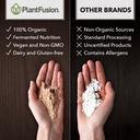 sotru-organic-vegan-protein-powder-whole-4.jpg