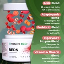 reds-metabolism-and-energy-superfood-pow-4.jpg