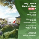 reds-metabolism-and-energy-superfood-pow-6.jpg
