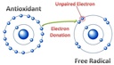 super-antioxidant-capsules-6-superfruit--6.jpg