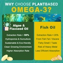 vegan-omega-3-epa-dha-ala-supplement-coq-6.jpg