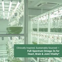 naturalis-double-strength-vegan-omega-3--6.jpg