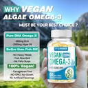 vegan-omega-3-dha-supplement-algae-oil-p-2.jpg
