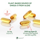 f-rstenmed-algae-oil-vegan-omega-3-heart-2.jpg