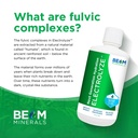 beam-minerals-electrolyze-liquid-electro-3.jpg