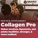 gnarly-nutrition-collagen-peptides-gnarl-4.jpg