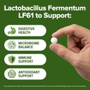 lactobacillus-fermentum-probiotic-240-ta-4.jpg