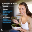 probiotic-prebiotic-blend-50-billion-cfu-4.jpg