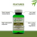 green-organic-supplements-kidneys-stone--3.jpg