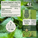 herbamama-stinging-nettle-tincture-vegan-3.jpg