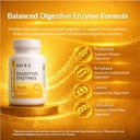 eat-e-z-digestive-enzymes-broad-spectrum-4.jpg