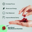 gwella-focus-gummies-with-lion-s-mane-pa-4.jpg