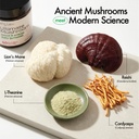 ultimate-mushroom-daily-gummies-mushroom-4.jpg