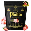 ambrosia-plant-based-protein-powder-20g--2.jpg