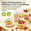venture-pal-vegan-vanilla-protein-powder-6.jpg