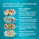 purehealth-research-joint-support-joint--4.jpg