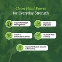 organic-plant-based-protein-powder-choco-4.jpg