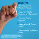 excellacor-90-systemic-enzyme-supplement-4.jpg