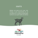 manna-pro-colostrum-supplement-for-newbo-5.jpg